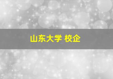 山东大学 校企